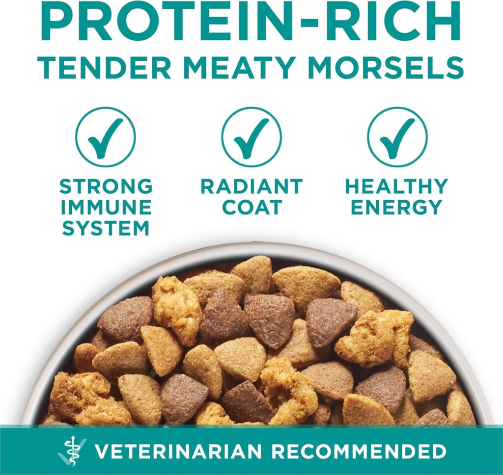 Purina One Plus Digestive Health Formula Dry Dog Food Natural with Added Vitamins, Minerals and Nutrients - 31.1 lb. Bag Purina One Plus Digestive Health Formula Dry Dog Food Natural with Added Vitamins, Minerals and Nutrients - 31.1 lb. Bag