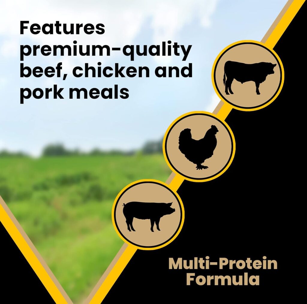 Victor Super Premium Dog Food – Multi-Pro Dry Dog Food – Gluten Free Dog Food with Beef, Chicken and Pork Protein for Normally Active Dogs – All Breeds and All Life Stages, 50 lb Victor Super Premium Dog Food – Multi-Pro Dry Dog Food – Gluten Free Dog Food with Beef, Chicken and Pork Protein for Normally Active Dogs – All Breeds and All Life Stages, 50 lb