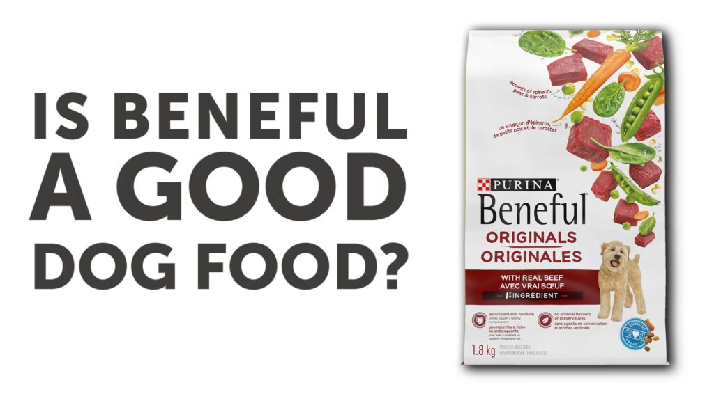 Beneful Purina Real Meat Dry Dog Food, Originals with Farm-Raised Beef, 14 lb. Bag Beneful Purina Real Meat Dry Dog Food, Originals with Farm-Raised Beef, 14 lb. Bag