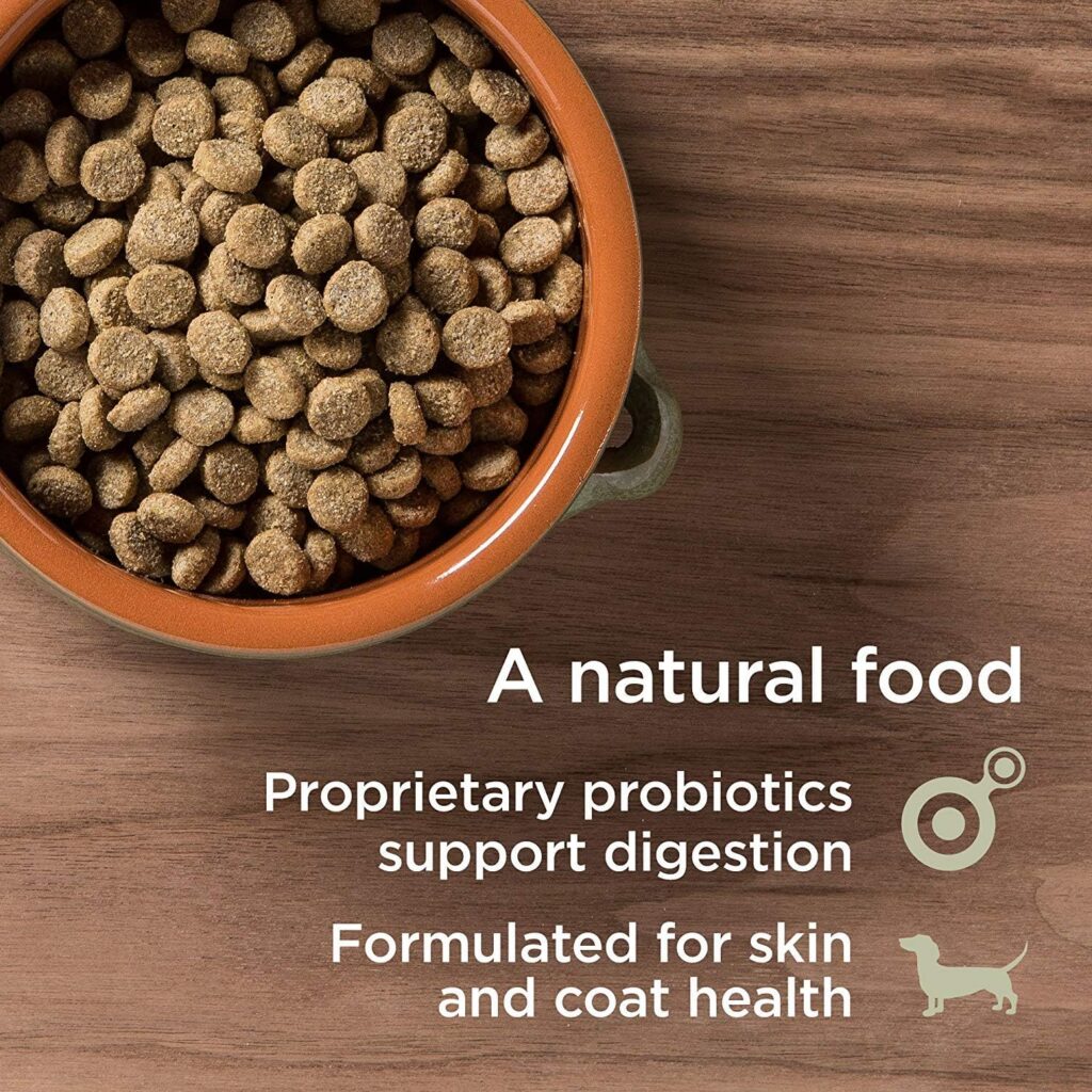 Diamond Naturals Light Real Meat Recipe Premium Dry Dog Food To Help Support Weight Management With Real Pasture Raised Lamb Protein 15Lb, 1772_15_DNL Diamond Naturals Light Real Meat Recipe Premium Dry Dog Food To Help Support Weight Management With Real Pasture Raised Lamb Protein 15Lb, 1772_15_DNL