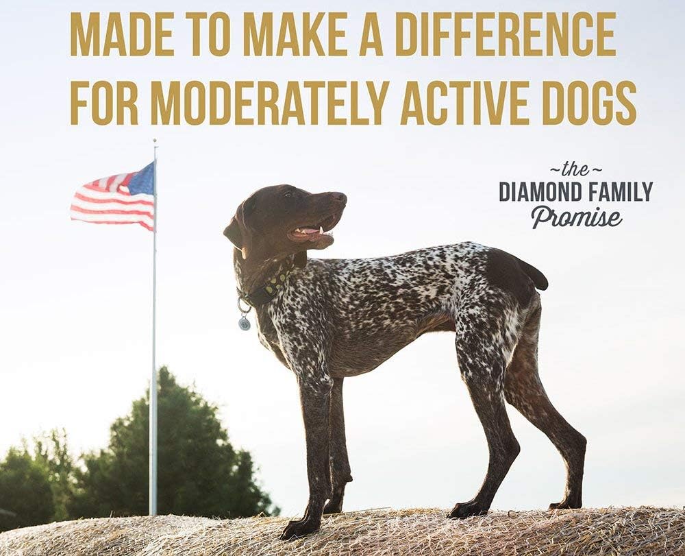 Diamond PREMIUM RECIPE Maintenance Complete and Balanced Dry Dog Food for a Moderately Active Dog, 40lb Diamond PREMIUM RECIPE Maintenance Complete and Balanced Dry Dog Food for a Moderately Active Dog, 40lb