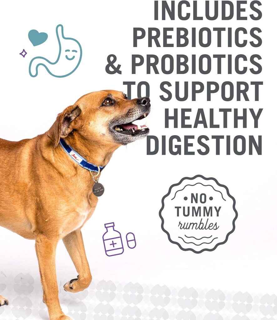 I and love and you Naked Essentials Ancient Grains Dry Dog Food - Lamb + Beef - High Protein, Real Meat, No Fillers, 4lb Bag I and love and you Naked Essentials Ancient Grains Dry Dog Food - Lamb + Beef - High Protein, Real Meat, No Fillers, 4lb Bag