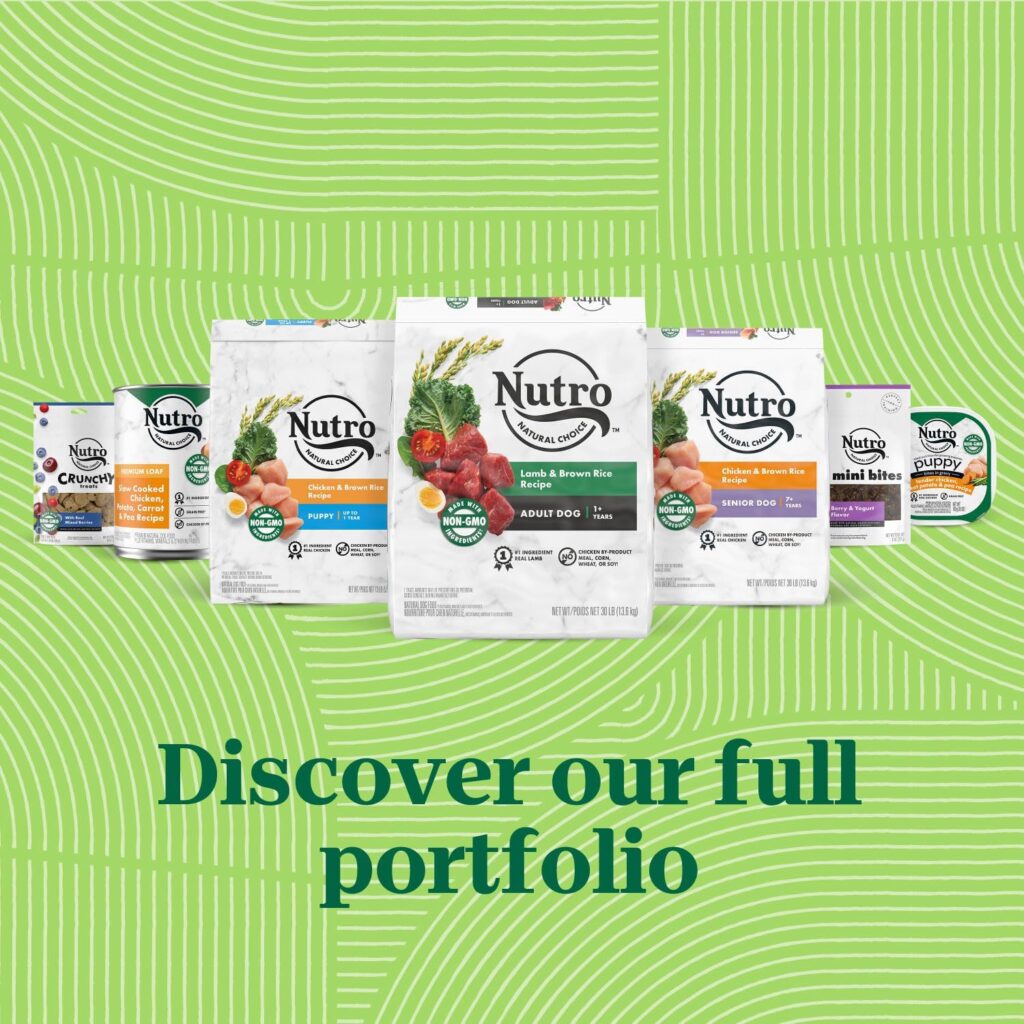 Nutro Natural Choice Adult Dry Dog Food, Chicken and Brown Rice Recipe 5 lbs. Nutro Natural Choice Adult Dry Dog Food, Chicken and Brown Rice Recipe 5 lbs.