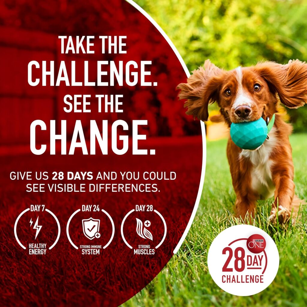 Purina ONE High Protein Dry Senior Dog Food Plus Vibrant Maturity Adult 7 Plus Formula - (Pack of 4) 4 lb. Bags Purina ONE High Protein Dry Senior Dog Food Plus Vibrant Maturity Adult 7 Plus Formula - (Pack of 4) 4 lb. Bags