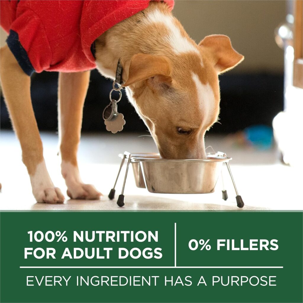 Purina ONE Plus Small Breed Lamb and Rice Formula Dry Dog Food - 7.4 lb. Bag Purina ONE Plus Small Breed Lamb and Rice Formula Dry Dog Food - 7.4 lb. Bag