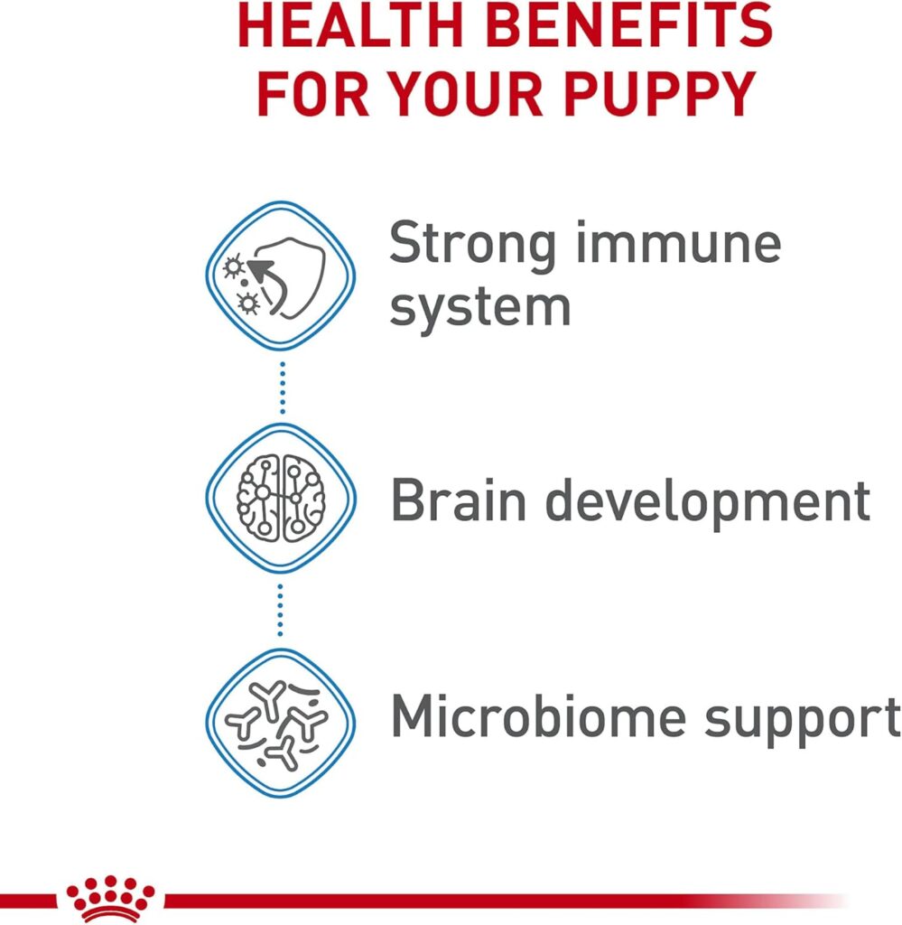 Royal Canin Size Health Nutrition Medium Puppy Dry Dog Food, 6 lb Bag Size Health Nutrition Medium Puppy Thin Slices in Gravy Wet Dog Food, 13 oz can (12-Count) Royal Canin Size Health Nutrition Medium Puppy Dry Dog Food, 6 lb Bag Size Health Nutrition Medium Puppy Thin Slices in Gravy Wet Dog Food, 13 oz can (12-Count)