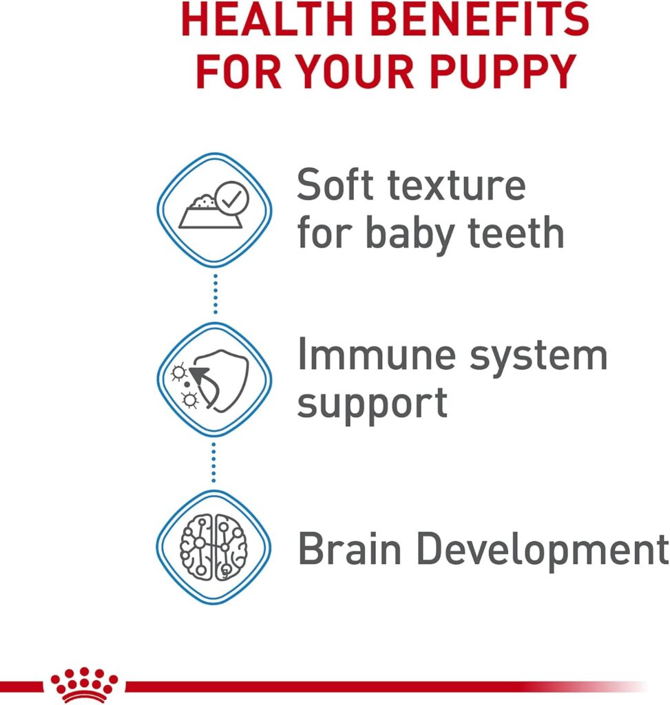 Royal Canin Size Health Nutrition Medium Puppy Dry Dog Food, 6 lb Bag Size Health Nutrition Medium Puppy Thin Slices in Gravy Wet Dog Food, 13 oz can (12-Count) Royal Canin Size Health Nutrition Medium Puppy Dry Dog Food, 6 lb Bag Size Health Nutrition Medium Puppy Thin Slices in Gravy Wet Dog Food, 13 oz can (12-Count)