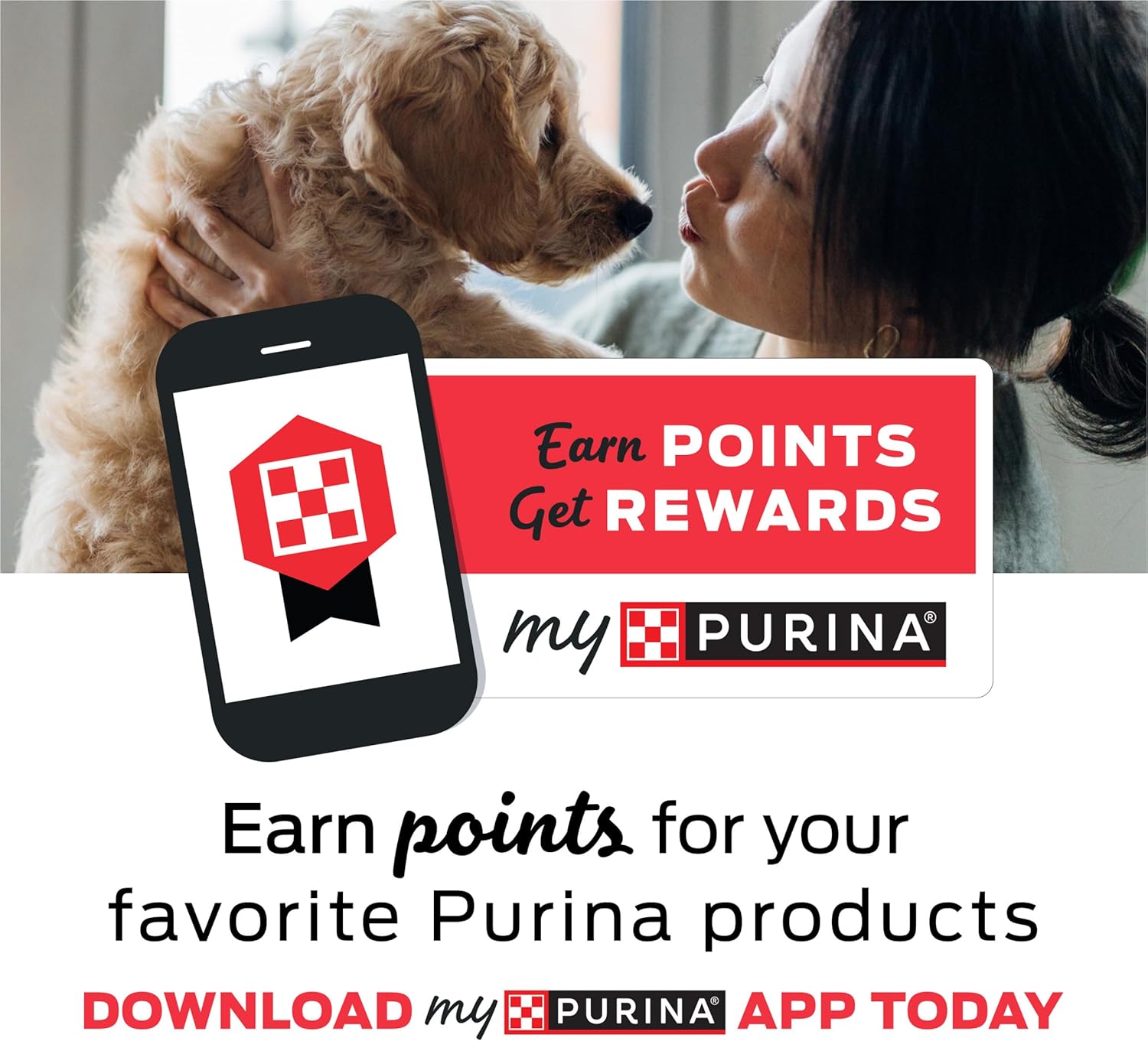 Purina Beyond High Protein Wet Dog Food Review