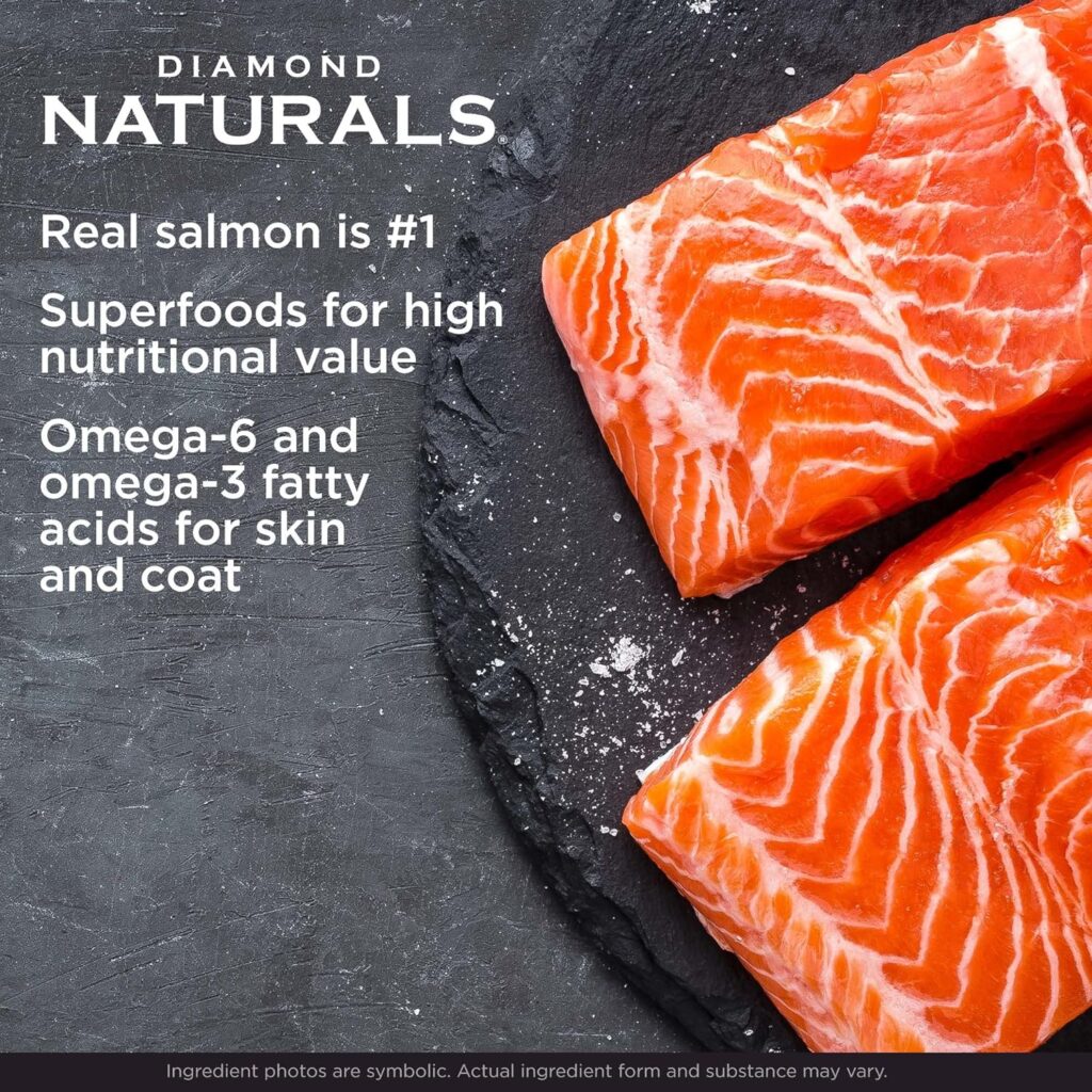 DIAMOND NATURALS Skin Coat Real Meat Recipe Dry Dog Food with Wild Caught Salmon 15lb (9422_15_DND) DIAMOND NATURALS Skin Coat Real Meat Recipe Dry Dog Food with Wild Caught Salmon 15lb (9422_15_DND)