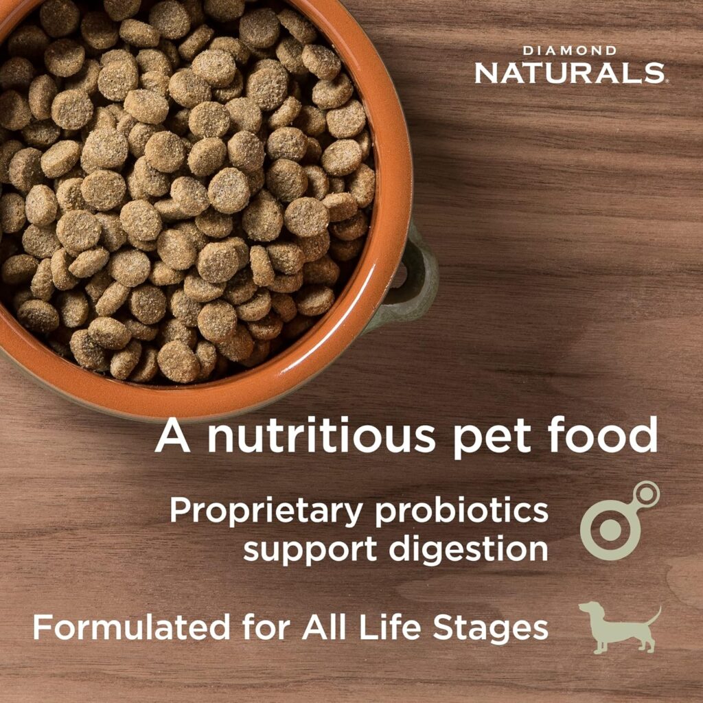 DIAMOND NATURALS Skin Coat Real Meat Recipe Dry Dog Food with Wild Caught Salmon 15lb (9422_15_DND) DIAMOND NATURALS Skin Coat Real Meat Recipe Dry Dog Food with Wild Caught Salmon 15lb (9422_15_DND)