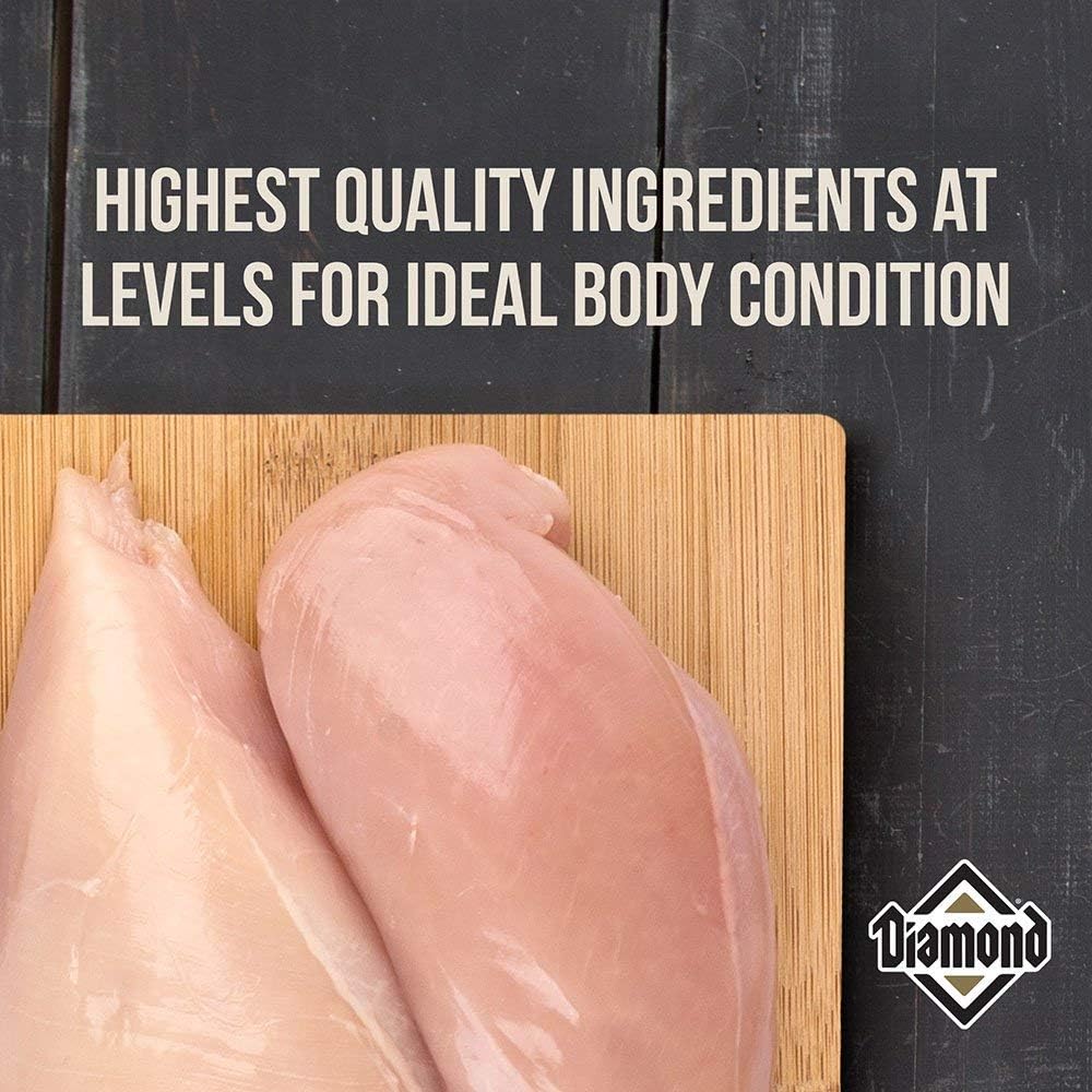 Diamond Performance Recipe with Meat First, High Protein, Grains and No Peas, Lentils, Chickpeas, Potatoes, or Sweet Potatoes 40 Pound (Pack of 1) Diamond Performance Recipe with Meat First, High Protein, Grains and No Peas, Lentils, Chickpeas, Potatoes, or Sweet Potatoes 40 Pound (Pack of 1)