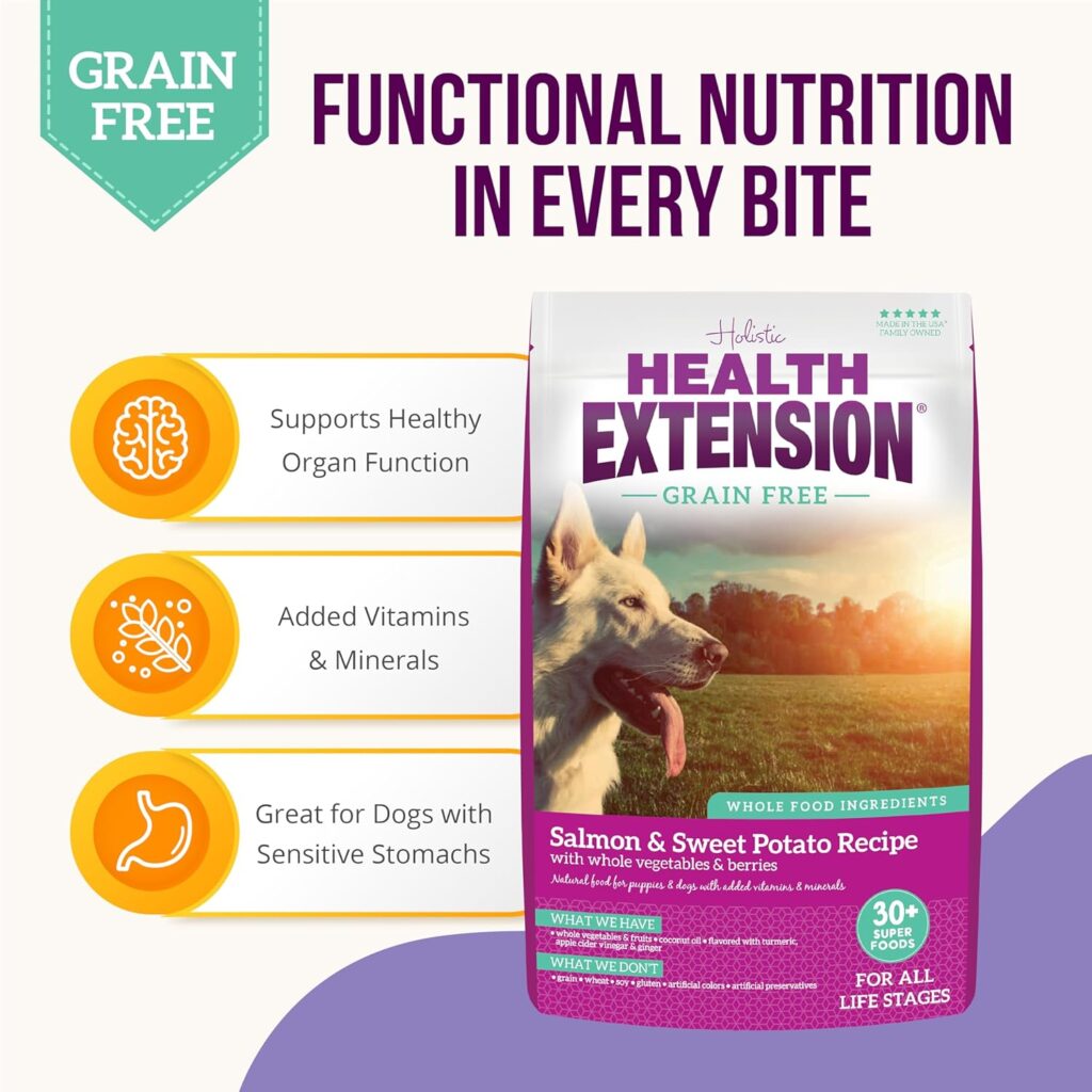 Health Extension Dry Dog Food, Natural Food with Added Vitamins  Minerals, Suitable for All Puppies, Grain Free, Salmon  Sweet Potato Recipe with Whole Vegetable  Berries (1 Pound)