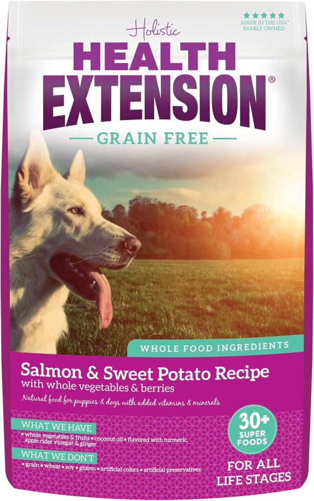 Health Extension Dry Dog Food, Natural Food with Added Vitamins  Minerals, Suitable for All Puppies, Grain Free, Salmon  Sweet Potato Recipe with Whole Vegetable  Berries (1 Pound)