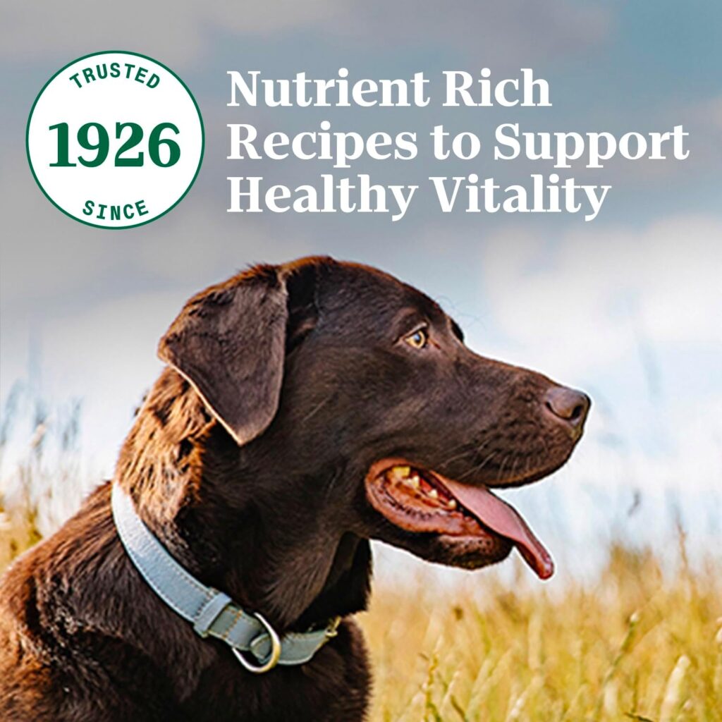 Nutro Natural Choice Adult Large Breed Dry Dog Food, Chicken and Brown Rice Recipe, 30 lbs.